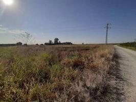 Casa De Campo En venta en La Cendrosa Partida Escudellà S-n, Ivars D'Urgell photo 0