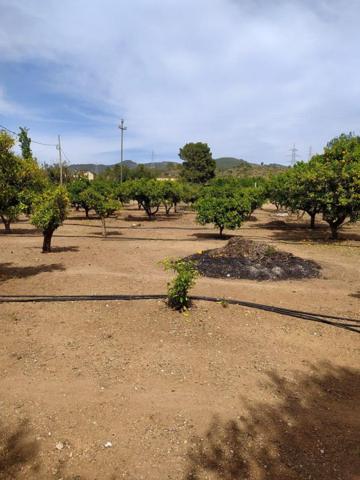 Terreno Urbanizable En venta en Tortosa, Tortosa photo 0