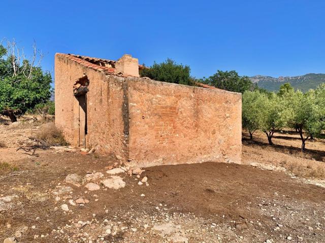 Casa De Campo En venta en Xerta, Xerta photo 0