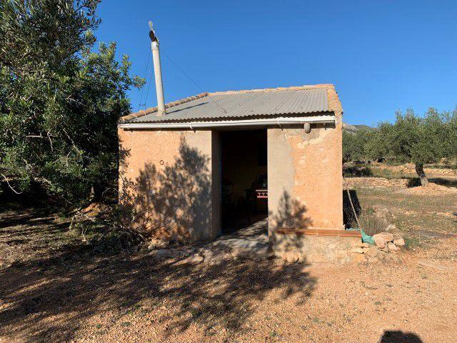 Casa De Campo En venta en Xerta, Xerta photo 0