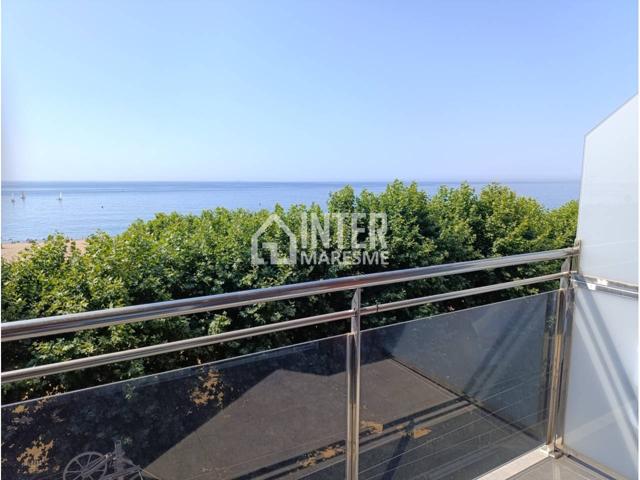 PRIMERA LÍNEA DE MAR photo 0