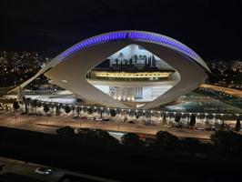 SEMIÁTICO CON VISTAS A LA CIUTAT DE LES ARTS I LES CIÈNCIES photo 0
