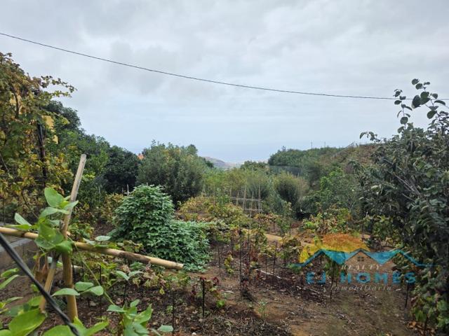 Otro En venta en La Orotava photo 0