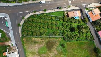 Terreno Urbanizable En venta en El Pinar La Palma, Puntagorda photo 0