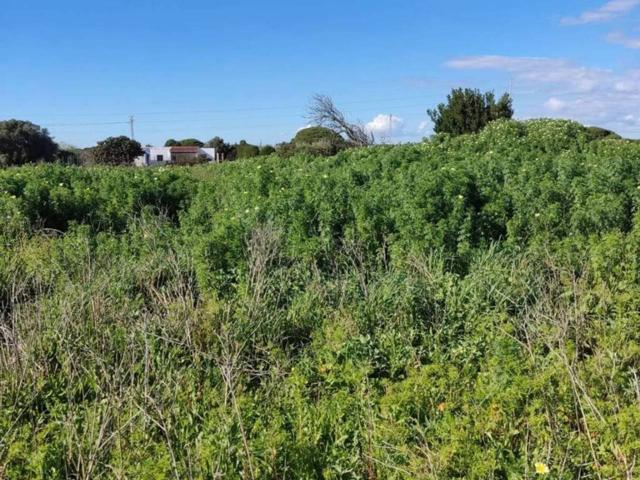 Casa De Campo En venta en Conil De La Frontera photo 0