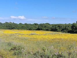 Casa De Campo En venta en Vejer De La Frontera photo 0