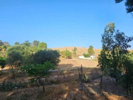 Casa De Campo En venta en Vejer De La Frontera photo 0
