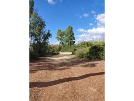 Terreno en venta. tu refugio natural en Chiclana de la Frontera photo 0