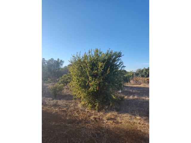 casi en la playa photo 0