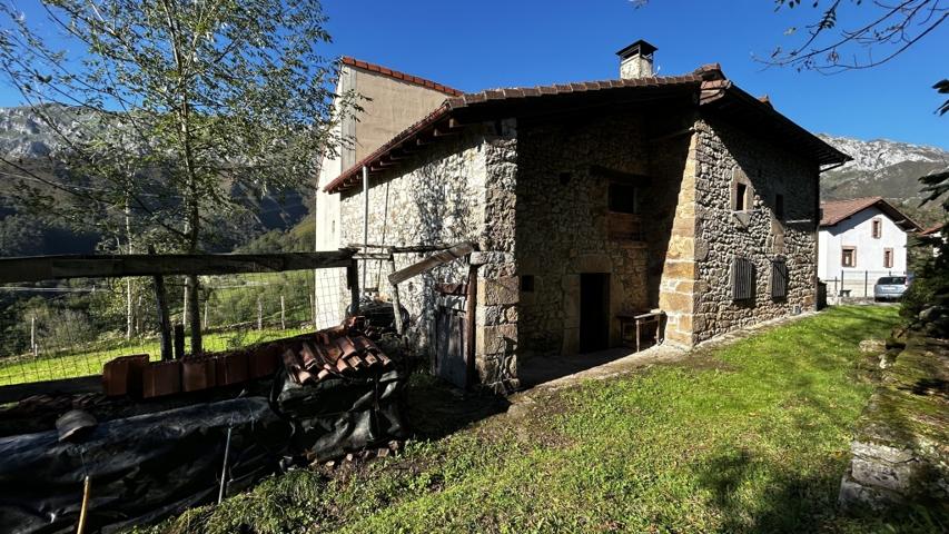 Casa de pueblo en Venta en Peñamellera Alta Asturias photo 0