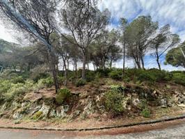 Agrícola En venta en Vilanova del Vallès photo 0