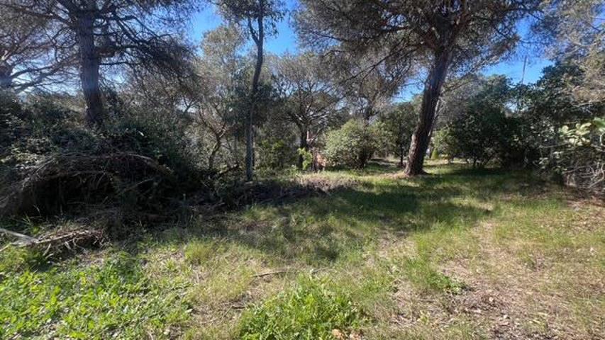 Agrícola En venta en Vilanova del Vallès photo 0