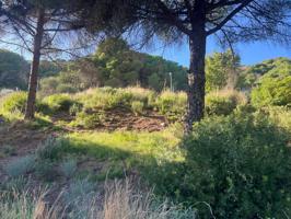 Agrícola En venta en Argentona photo 0