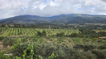 FINCA RÚSTICA DE 60.5 HA EN TORREMANZANAS (ALICANTE) photo 0