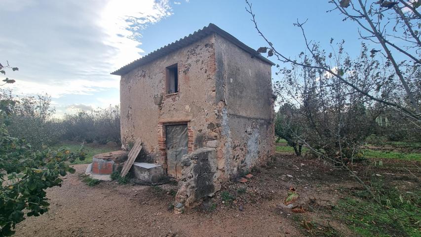Suelo rústico - Vilallonga del Camp photo 0