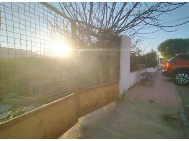 TERRENO DE 7.500M² CON NARANJOS EN PRODUCCIÓN – RIOJA photo 0