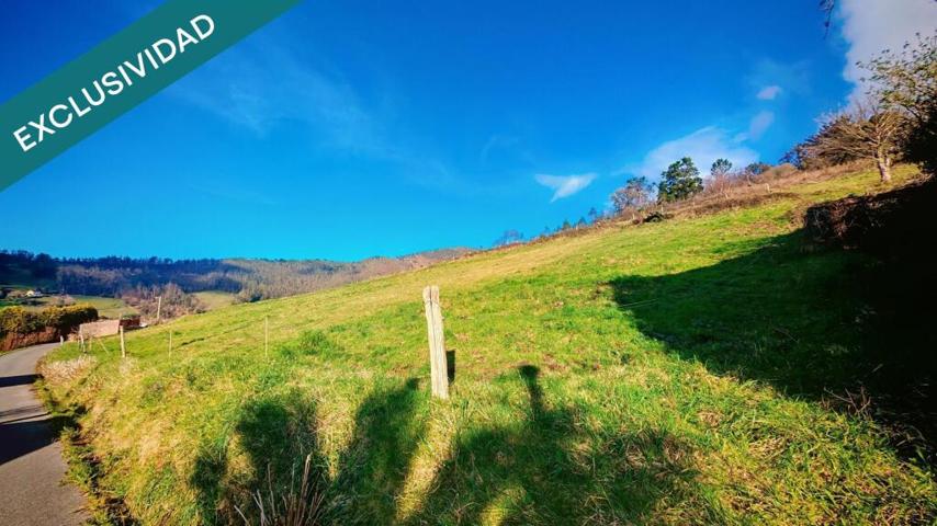 Oportunidad única: Dos fincas adyacentes en El Franco (Asturias) photo 0