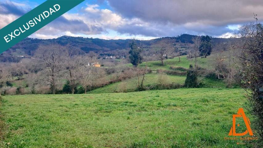 FINCA a solo 10 minutos de Villaviciosa photo 0