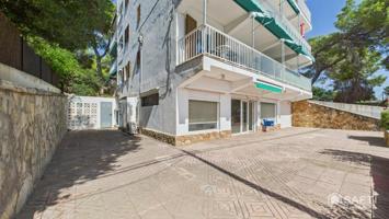 Se alquila Local comercial - gran terraza privada en Santa Ponsa (Via de la Cruz, Mallorca) photo 0