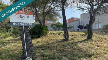 &quot;Tu nuevo hogar en plena naturaleza y con servicios&quot; photo 0