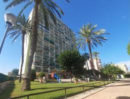 Alquiler de larga estancia en la Playa de la Pobla Farnals photo 0
