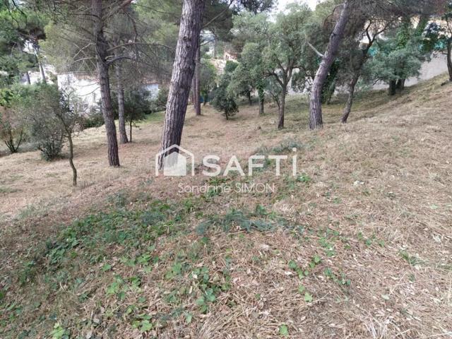 OPORTUNIDAD!! 2 Parcelas con bonitas vistas photo 0