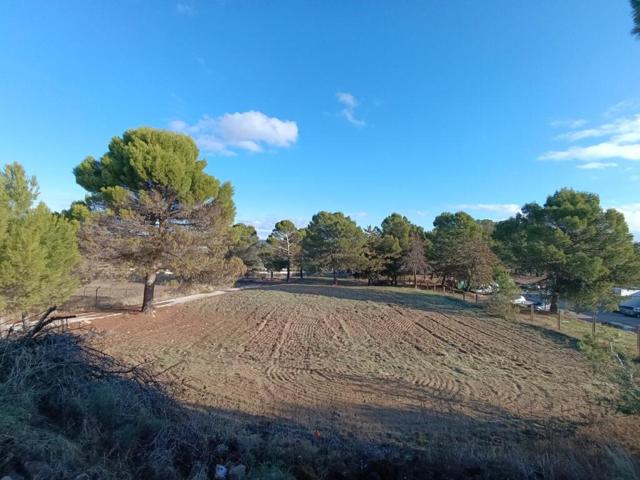 Terreno en Úbeda con 8.832m². SIN COMISIÓN DE COMPRA. photo 0