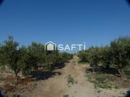 Oportunidad ! Terreno en venta, Fortuna Murcia. photo 0