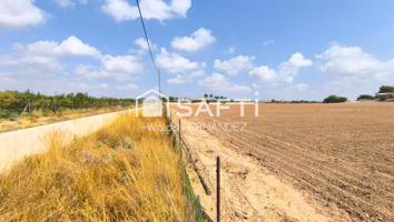 Parcela Rústica de 23.676 m2 junto a Zona Urbana de Alcantarilla, Murcia photo 0