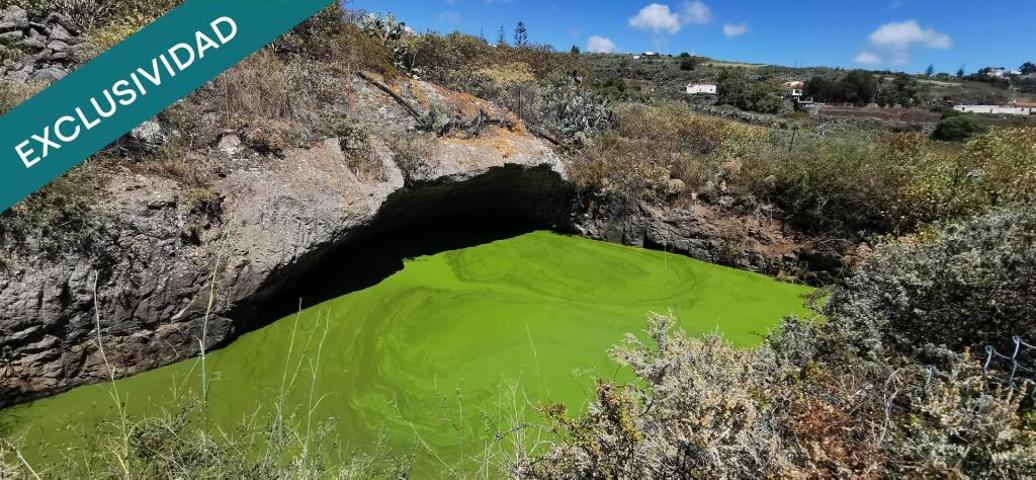 SE VENDE BONITA FINCA RÚSTICA EN LO BLANCO (SAN JOSÉ DEL ÁLAMO) photo 0