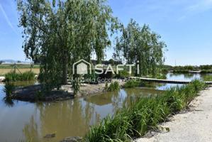 Magnifica finca rustica en el Parque natural del Delta del Ebro! photo 0