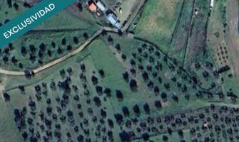 Olivar de 1.819 m² photo 0