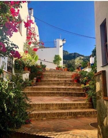 Casa unifamiliar en el corazón de Genalguacil photo 0