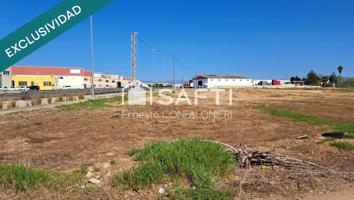 Terreno de gran superficie en VENTA ,ubicacion estretegica y alto potencial.(NEGOCIABLE OFERTA RAZONABLE) photo 0