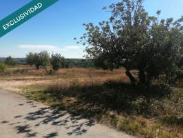 PROYECTO ALBERGUE DE ECO DE TURISMO RURAL  ALOJAMIENTO PARA 80 PERSONAS Y SALA DE CONVENCIONES - photo 0