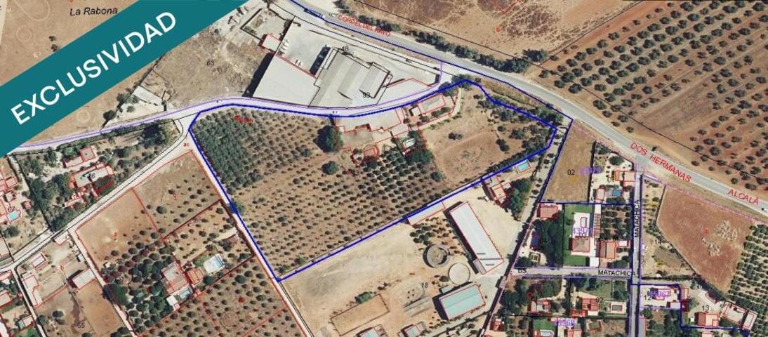 &quot;Una joya rústica con esencia mediterránea en las inmediaciones de la exclusiva zona de Montequinto&quot;. photo 0