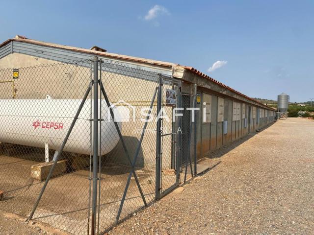 Nave de 1.500 m² con luz, agua a1 km de Alcublas photo 0