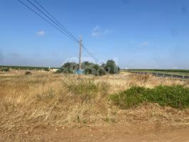 Otro En venta en Rociana Del Condado photo 0