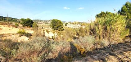 Finca Rústica en Polígono Monteral Nº 210 Mula photo 0