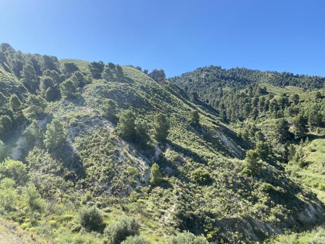 Venta de 2 Fincas Rústicas en Pasaje Lorca Nº S-N Lorca photo 0