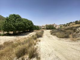 Venta de 12 Fincas Rústicas en Polígono Peralejo. Jumilla Nº SN Jumilla photo 0