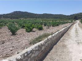 Venta de Suelo Urbanizable Residencial + Finca Rústica en Lugar[TR] PARAJE SOPAIRE Y CAÑADA DE LA LE photo 0