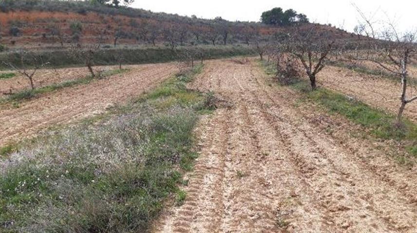 Venta de Finca Rústica en Lugar[TR] PARAJE LOS CHARQUILLOS Yecla photo 0
