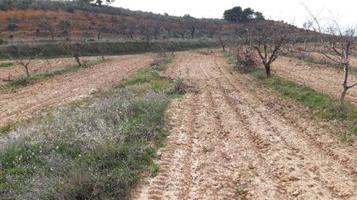 Venta de Finca Rústica en Lugar[TR] PARAJE CHARQUILLOS Yecla photo 0