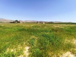 Terreno Urbanizable En venta en Jumilla, Jumilla photo 0