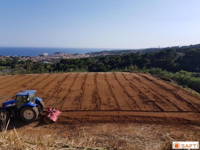 Finca Rustica Agrícola en Sant Cebria de Vallalta photo 0