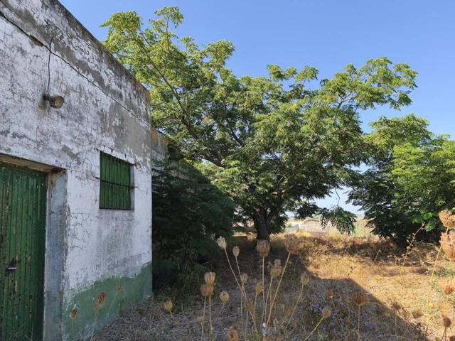 Nave industrial en venta en Zona Playa Virgen del Mar photo 0