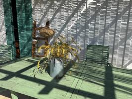 Venta de solar ,con contenedor vivienda,en Sanlúcar de Barrameda photo 0