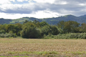 Terrenos Edificables En venta en Valdés photo 0