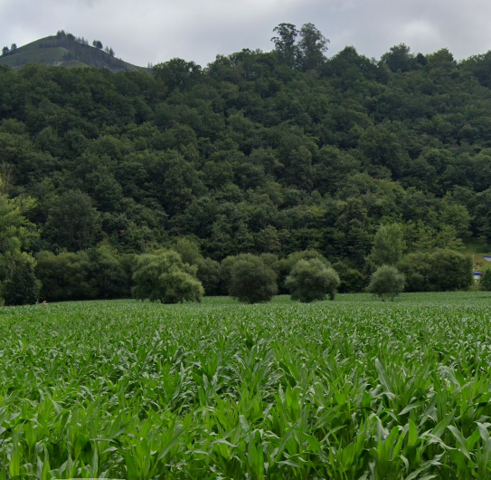 Terrenos Edificables En venta en Cangas de Onís photo 0